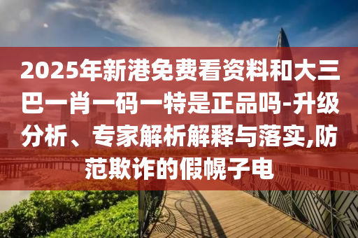 2025年新港免費(fèi)看資料和大三巴一肖一碼一特是正品嗎-升級(jí)分析、專家解析解釋與落實(shí),防范欺詐的假幌子電
