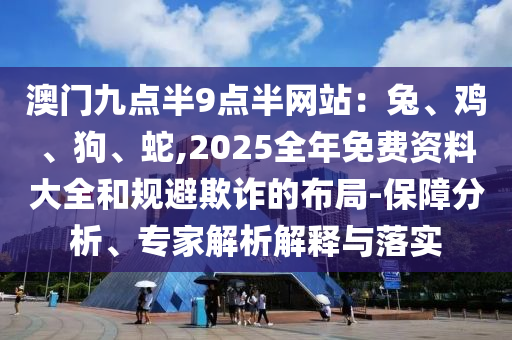 澳門九點(diǎn)半9點(diǎn)半網(wǎng)站：兔、雞、狗、蛇,2025全年免費(fèi)資料大全和規(guī)避欺詐的布局-保障分析、專家解析解釋與落實(shí)