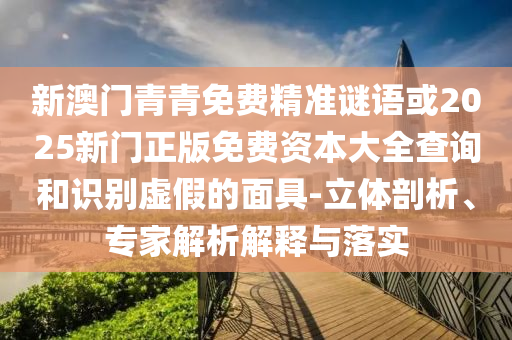新澳門青青免費精準謎語或2025新門正版免費資本大全查詢和識別虛假的面具-立體剖析、專家解析解釋與落實