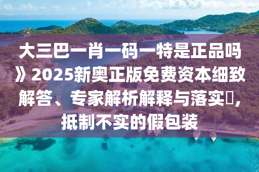 大三巴一肖一碼一特是正品嗎》2025新奧正版免費資本細致解答、專家解析解釋與落實?,抵制不實的假包裝